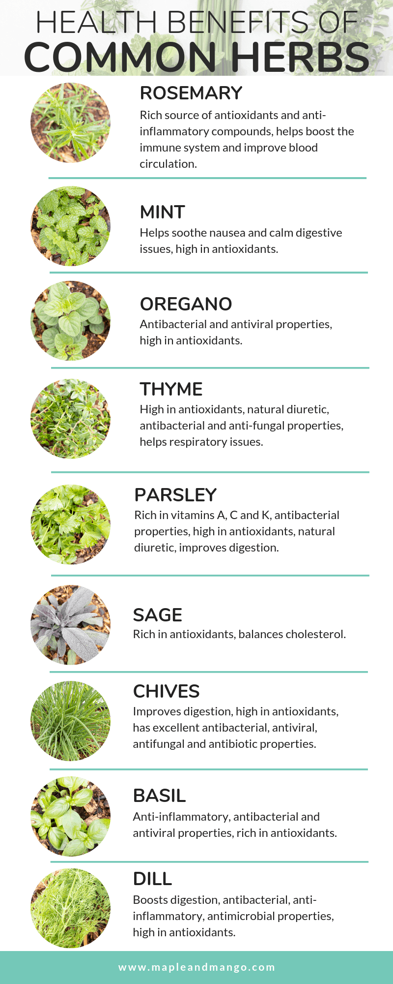 infographic on the benefits of common herbs