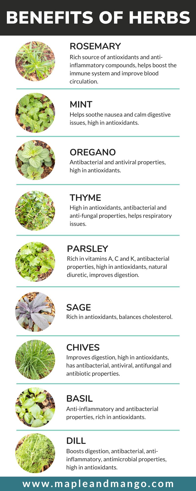 Benefits of herbs infographic featuring nine fresh herbs.