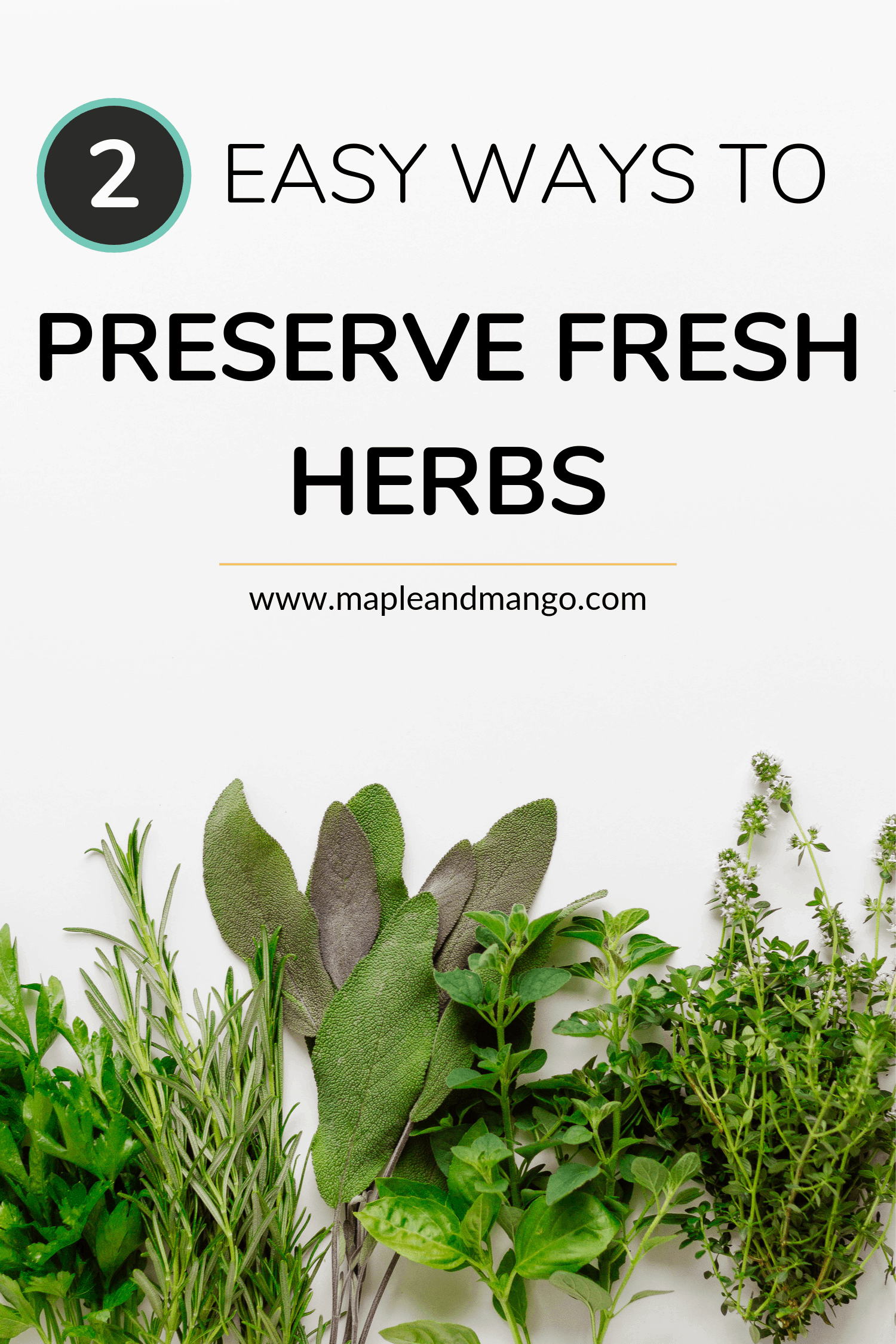 Pinterest Image for 2 Easy Ways to Preserve Fresh Herbs