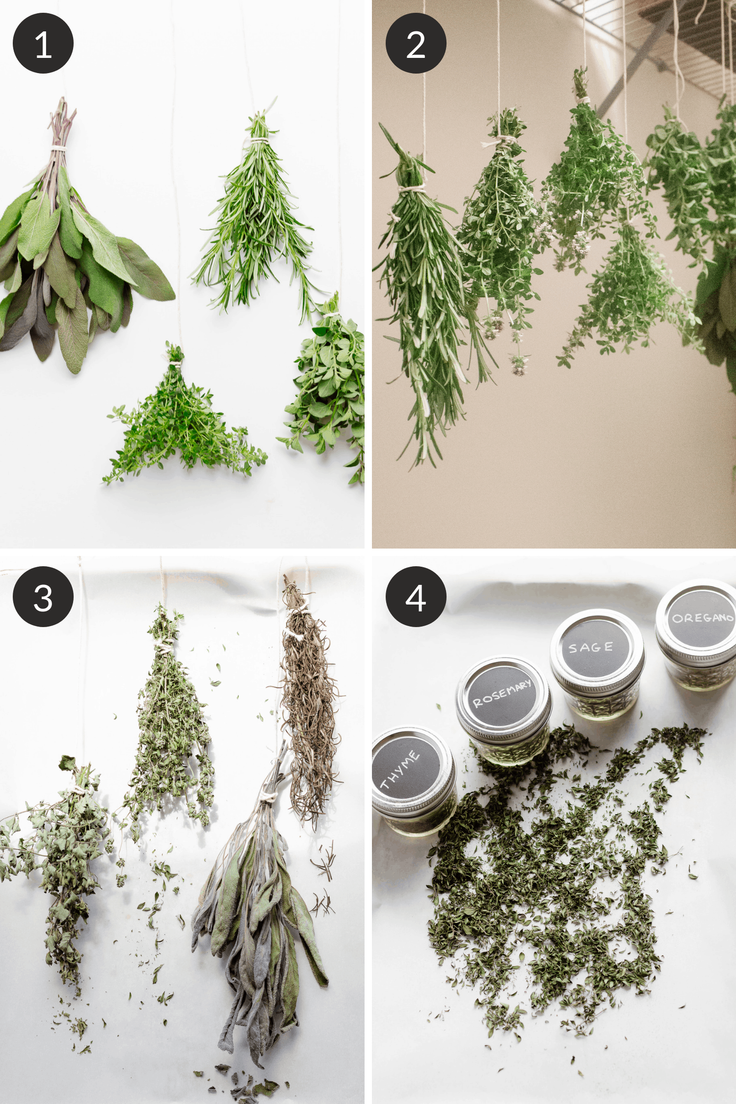 Collage of process on how to dry fresh herbs