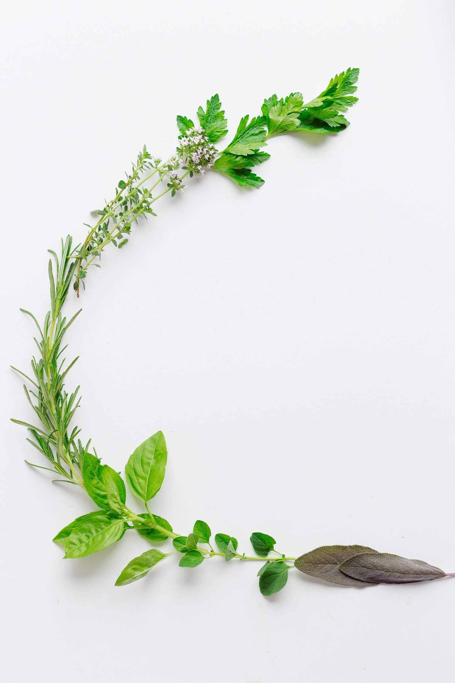 Fresh cut herbs arranged in a C shape on a white surface