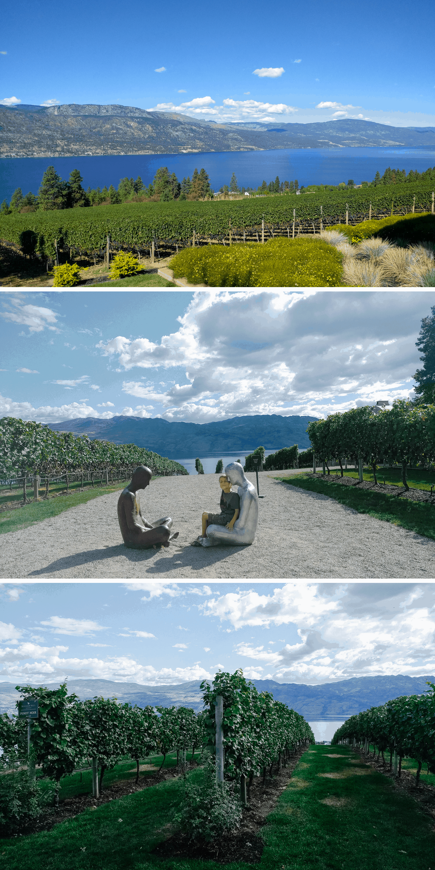 Collage of vineyards in Kelowna