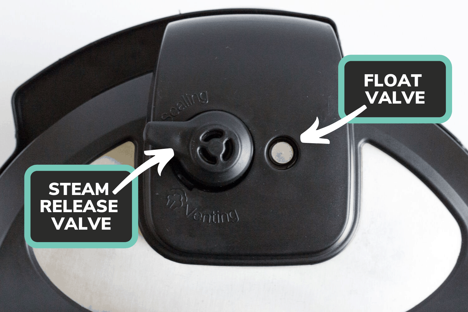 https://www.mapleandmango.com/wp-content/uploads/2019/09/Instant-Pot-Steam-Release-and-Float-Valve.png