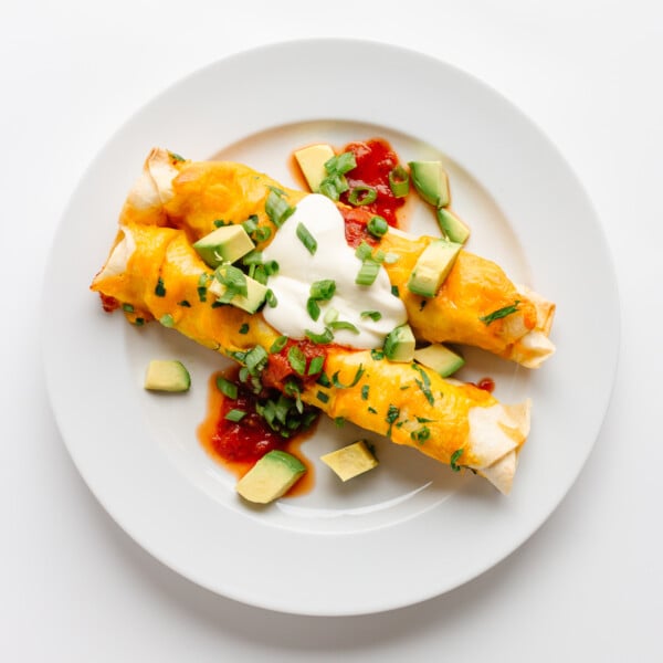 Two cheesy chicken enchiladas on a white plate and garnished with salsa, sour cream, cubed avocado and chopped green onion.
