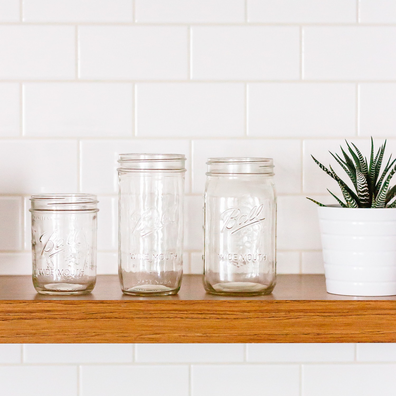 Three glass mason jars sitting on a kitchen shelf next to a plant.