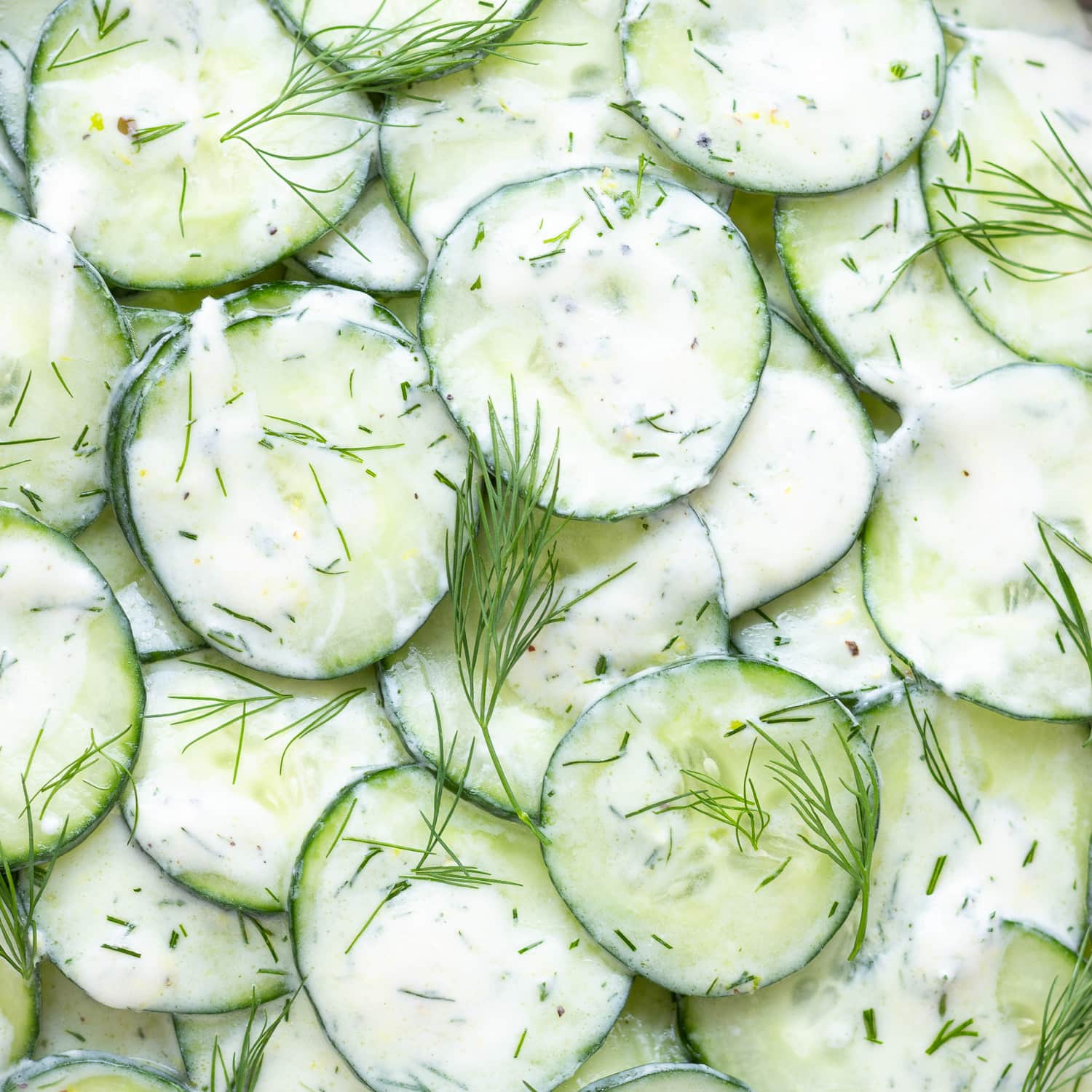 Cucumber Yogurt Salad 