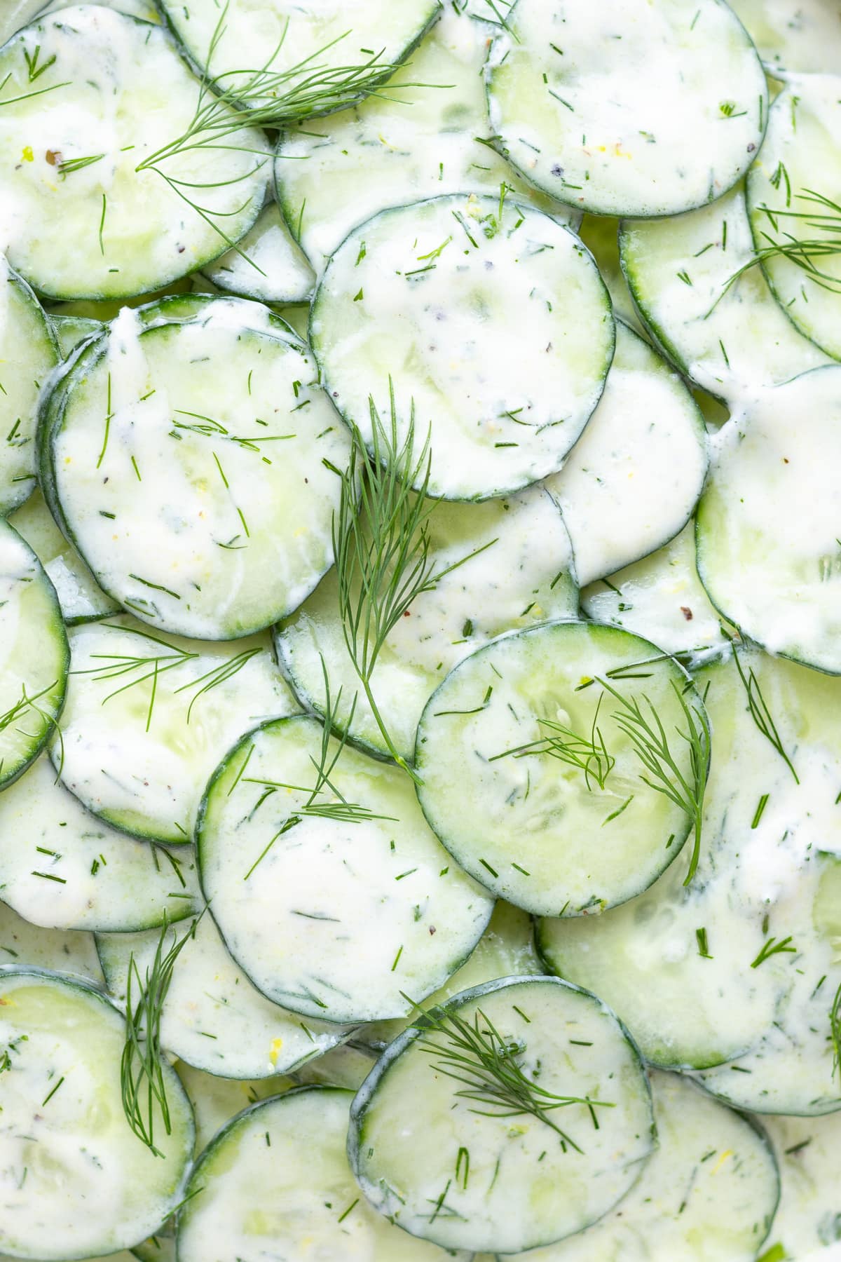 Close up of cucumber salad with greek yogurt dressing.