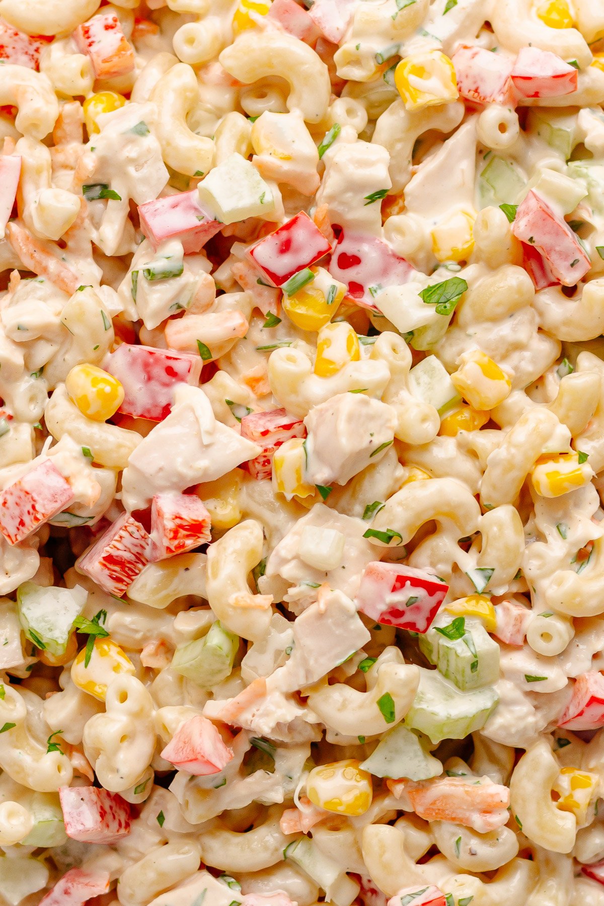 Closeup of chicken macaroni salad.