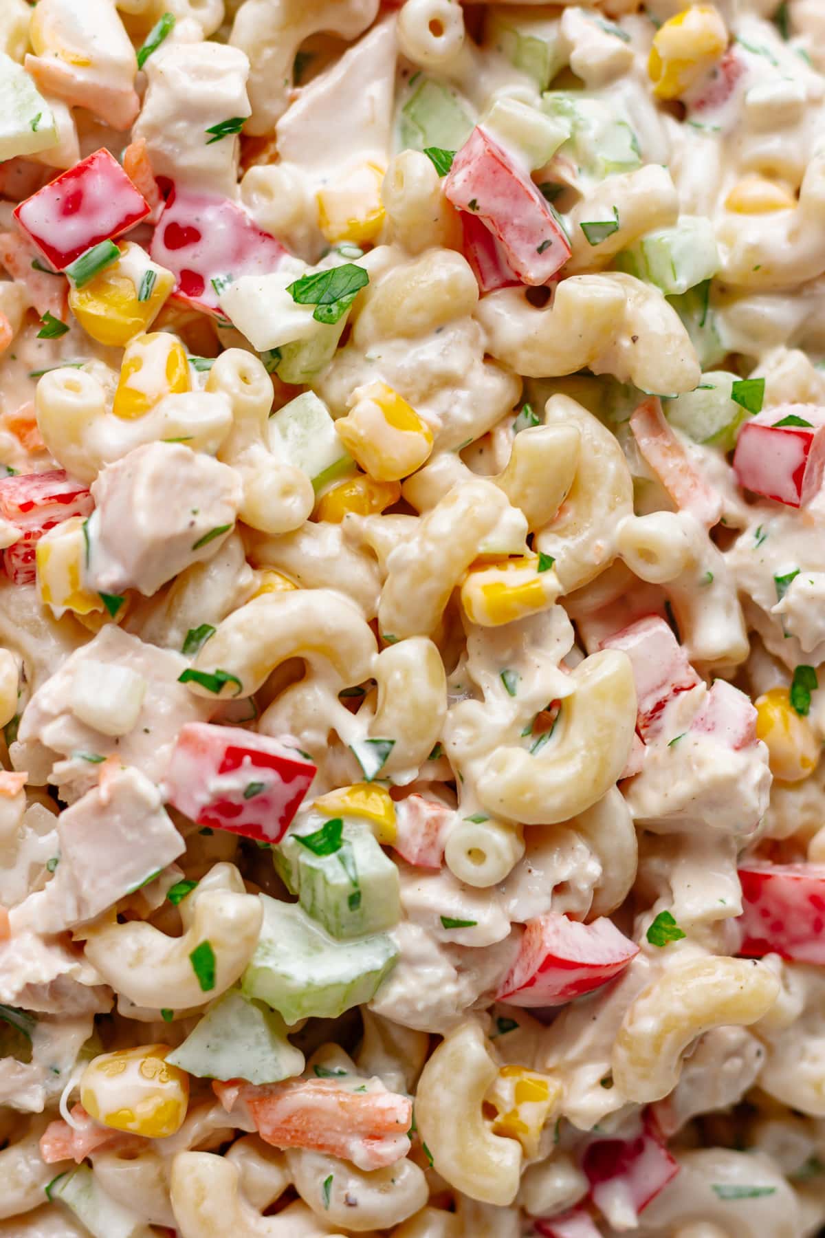 Closeup photo of macaroni chicken salad.