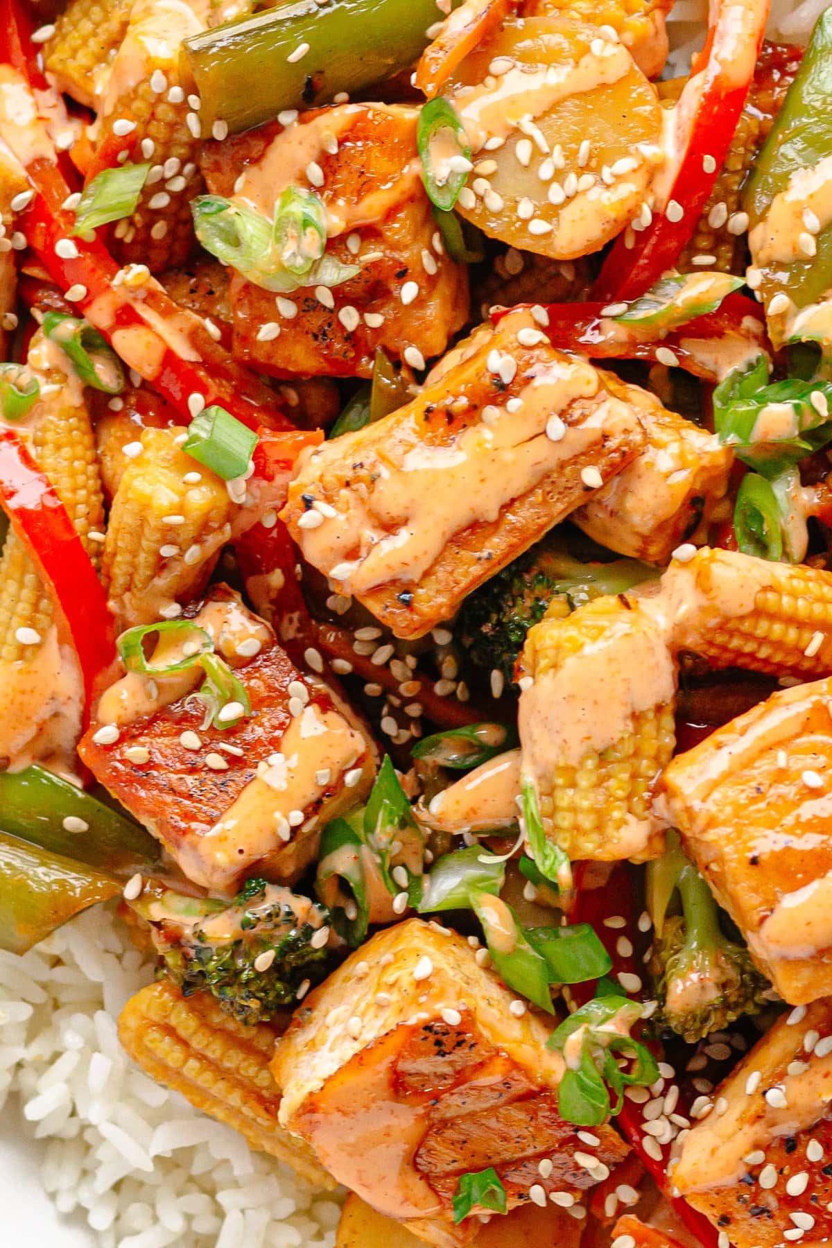 Closeup of salmon stir fry garnished with sesame seeds, chopped green onions and sriracha mayo drizzle.