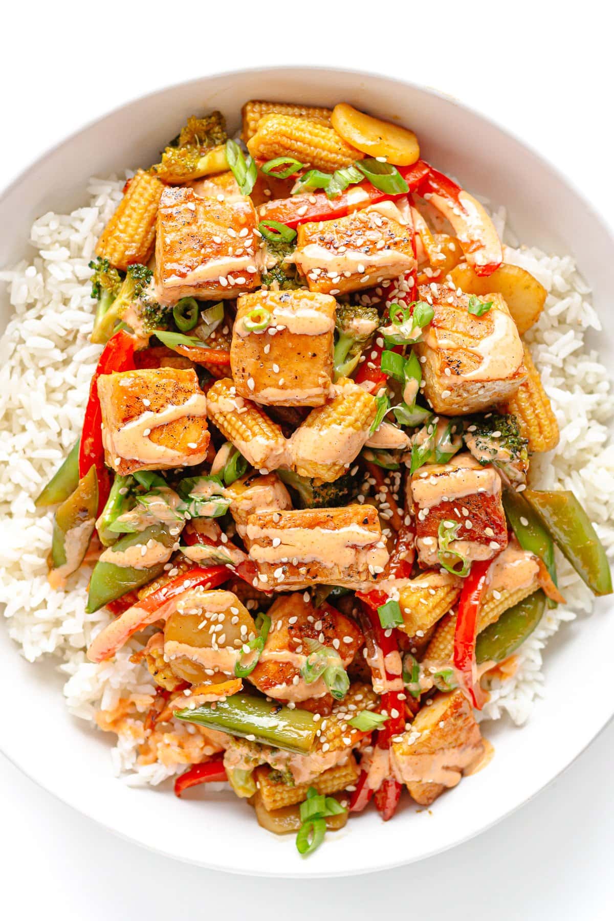 Bowl of salmon stir fry served over rice.