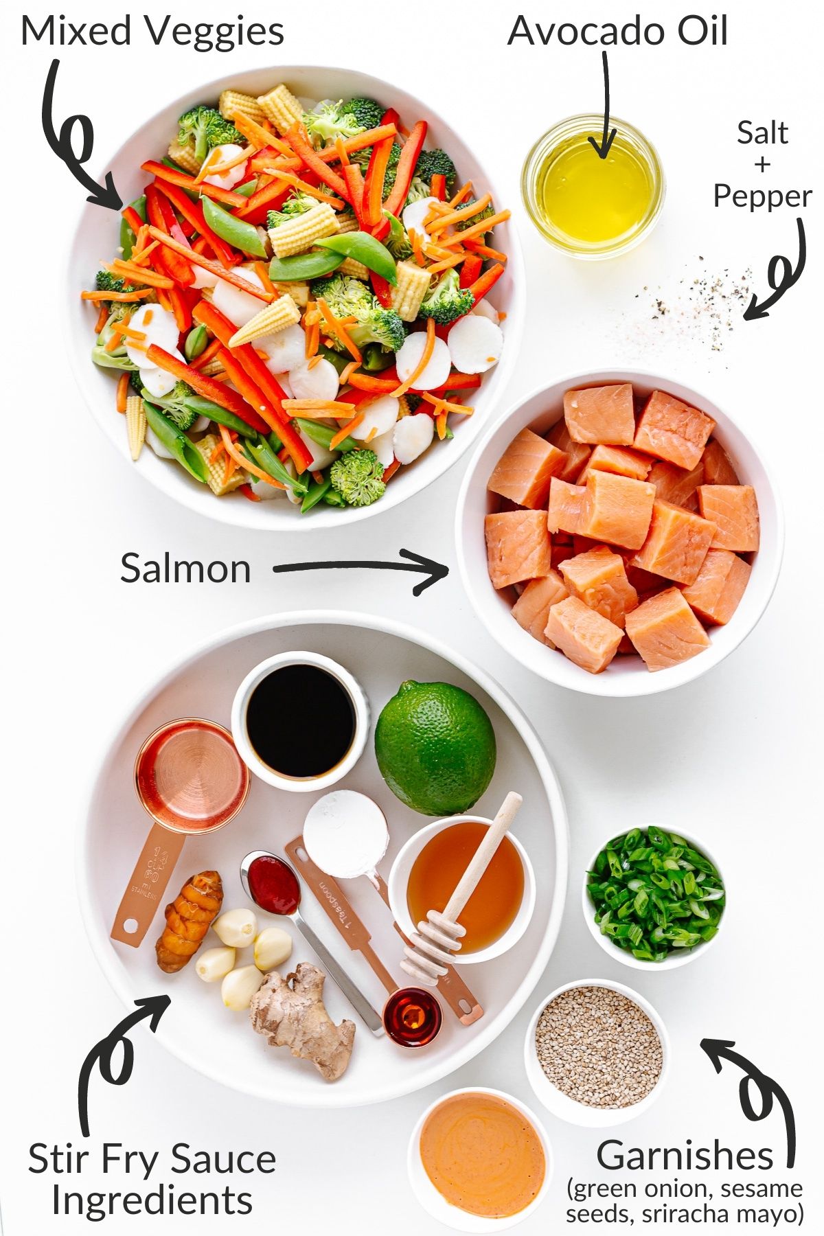 Labelled image of all the ingredients needed to make salmon stir fry.