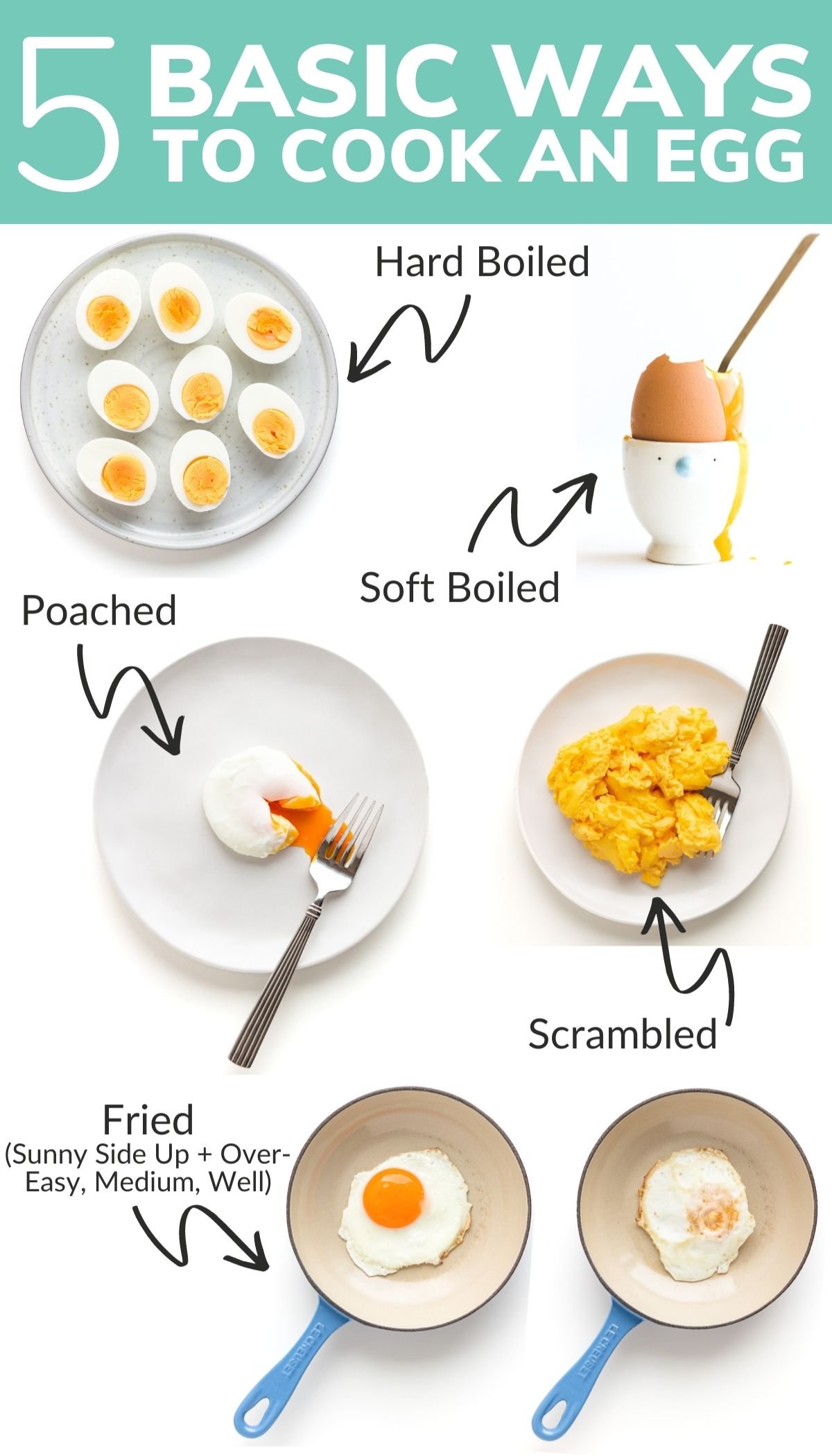 Labelled graphic showing five basic ways to cook an egg.