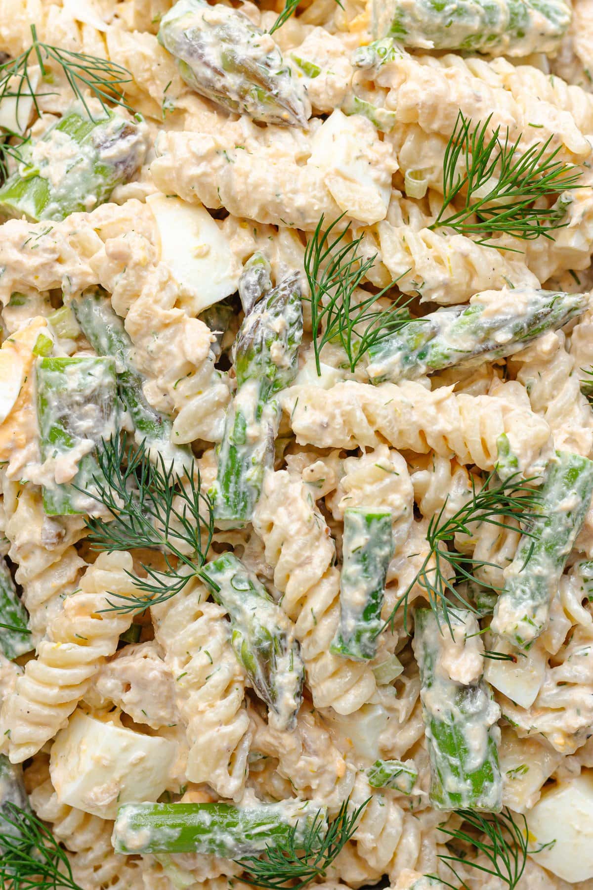 Closeup of salmon and asparagus pasta salad with a creamy lemon dill dressing.