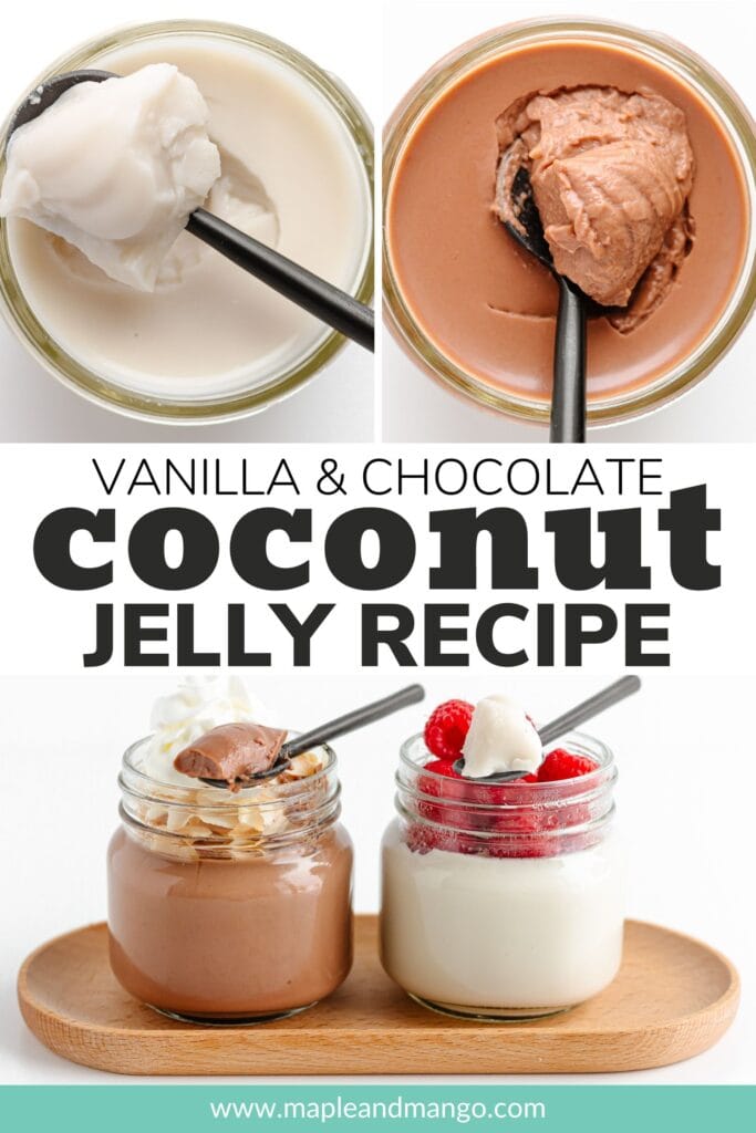 Coconut Jelly (Vanilla + Chocolate Flavors) | Maple + Mango