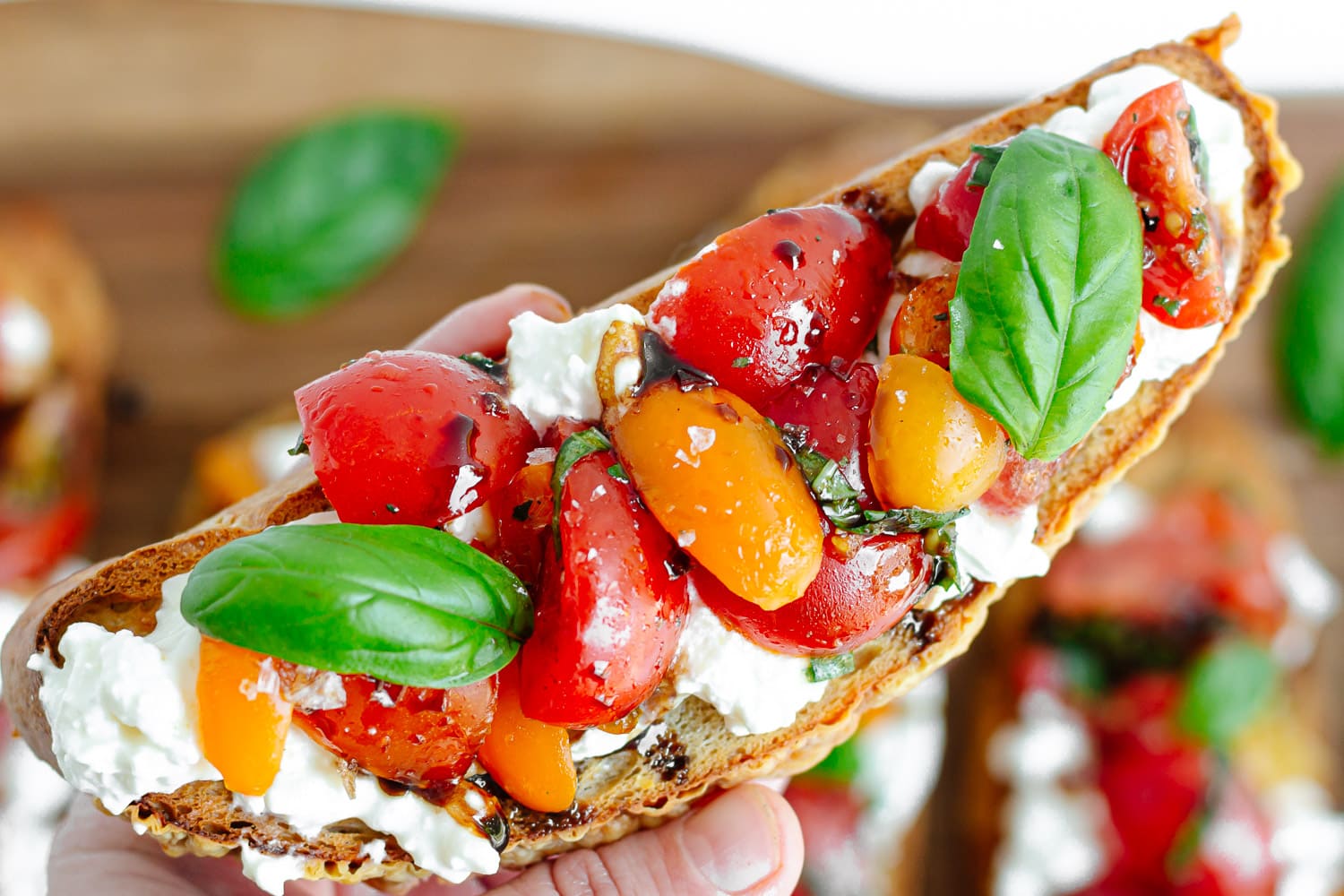 Hand holding burrata toast with tomato basil topping.