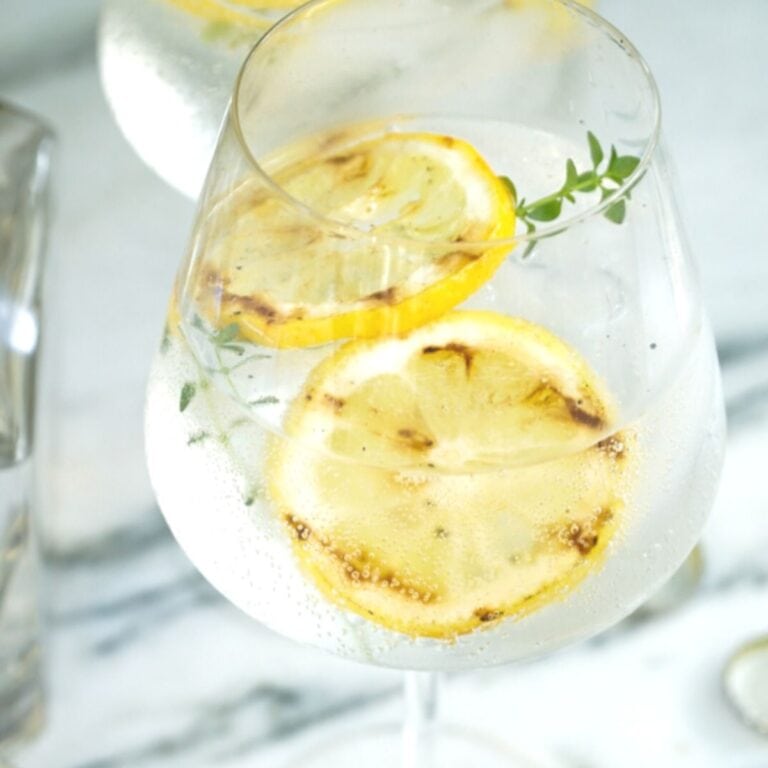 Glass of grilled lemon gin and tonic.