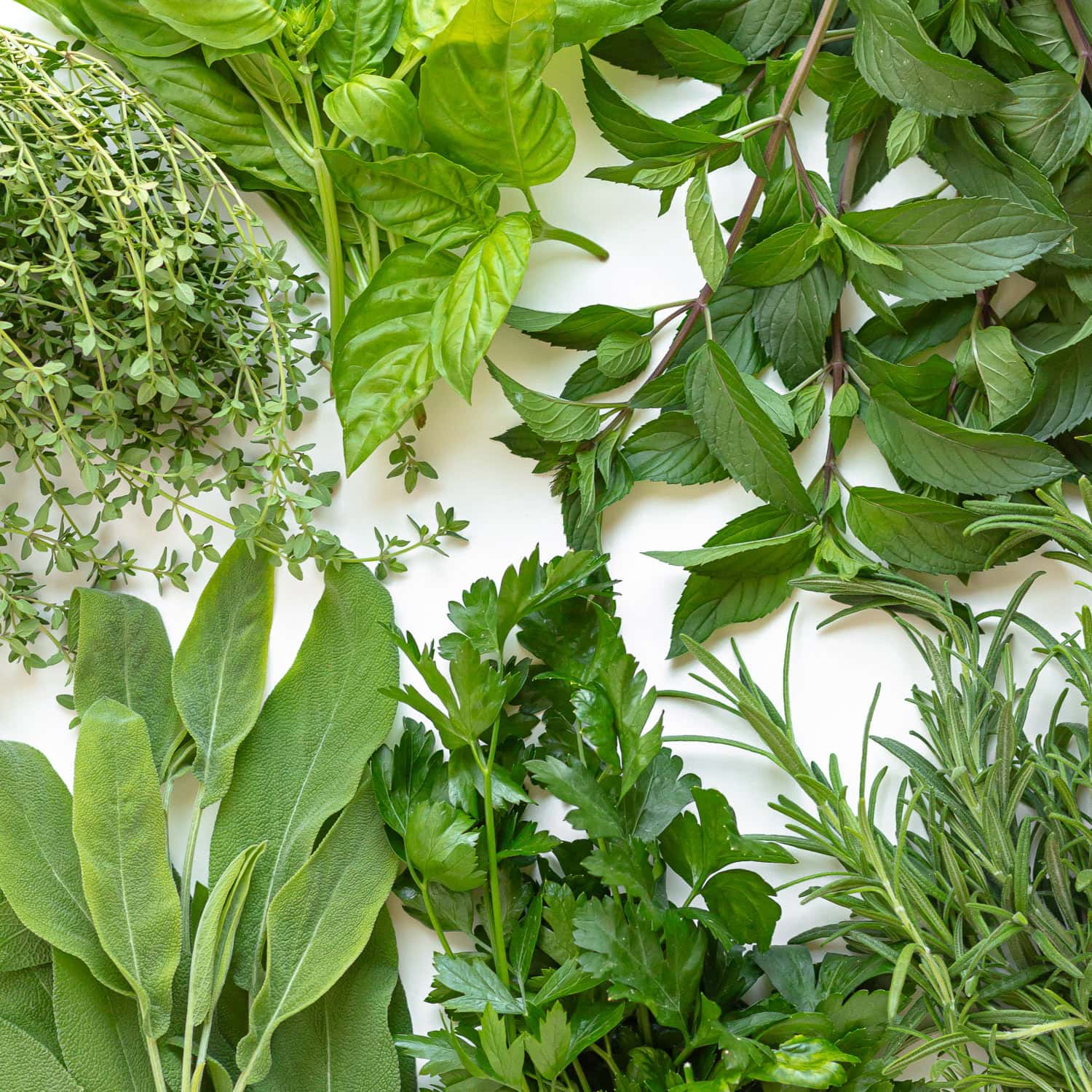 Variety of fresh herbs on a white surface.