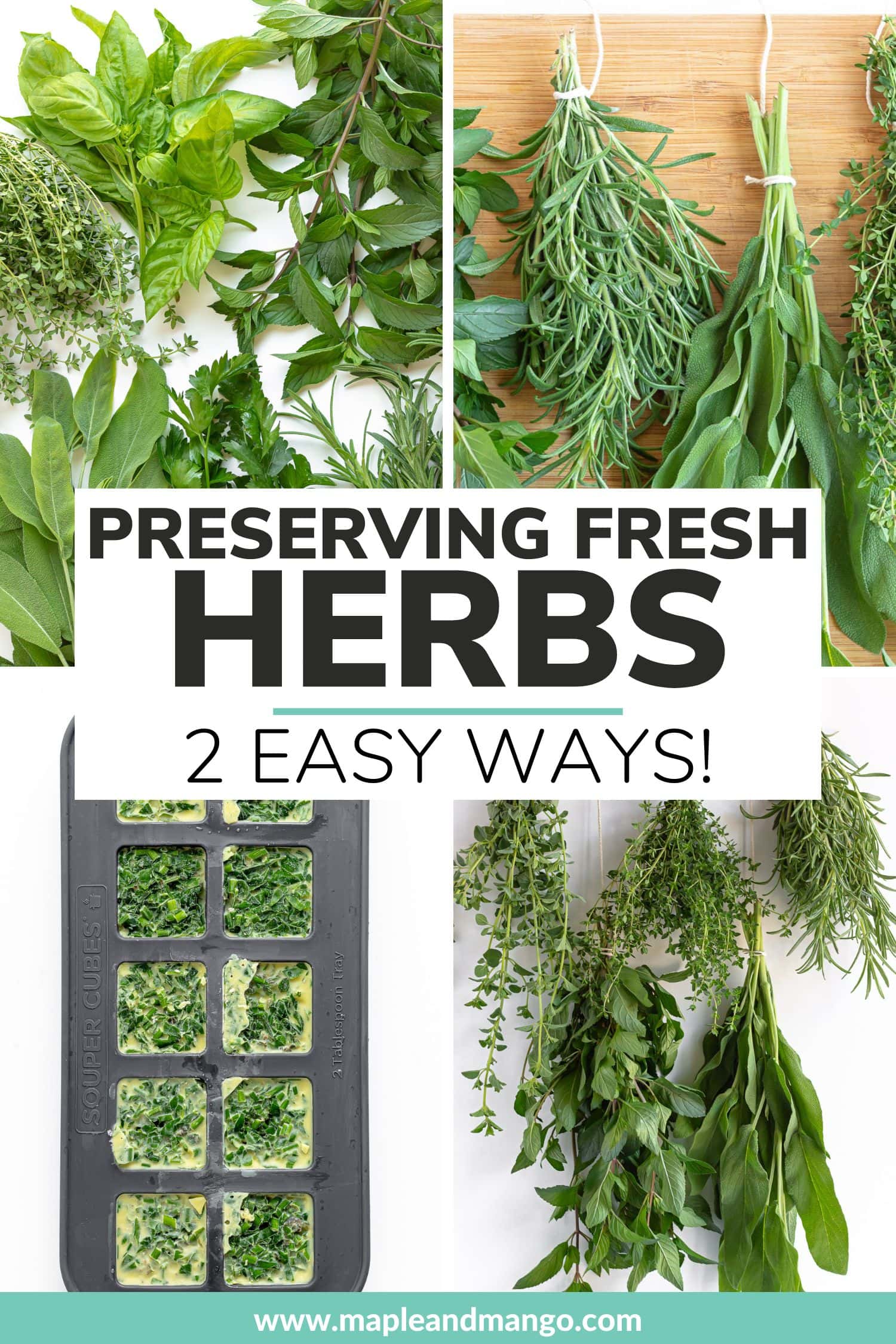 Pinterest collage graphic for preserving fresh herbs 2 easy ways.