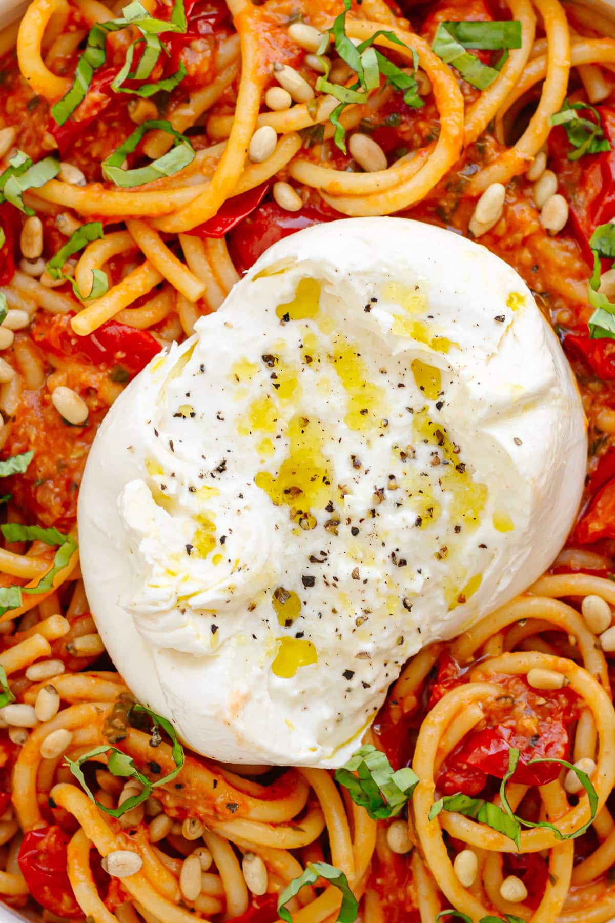Closeup of bucatini pasta tossed with cherry tomato sauce and topped with burrata.