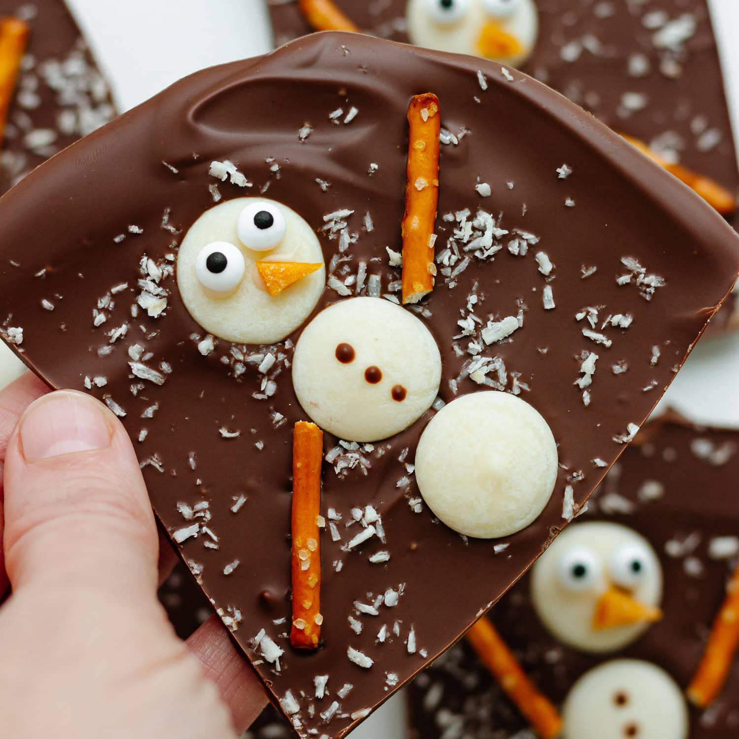 Hand holding a piece of snowman bark.