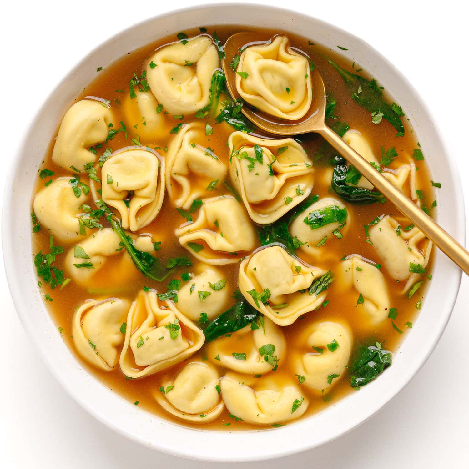 White bowl of tortellini soup with broth.