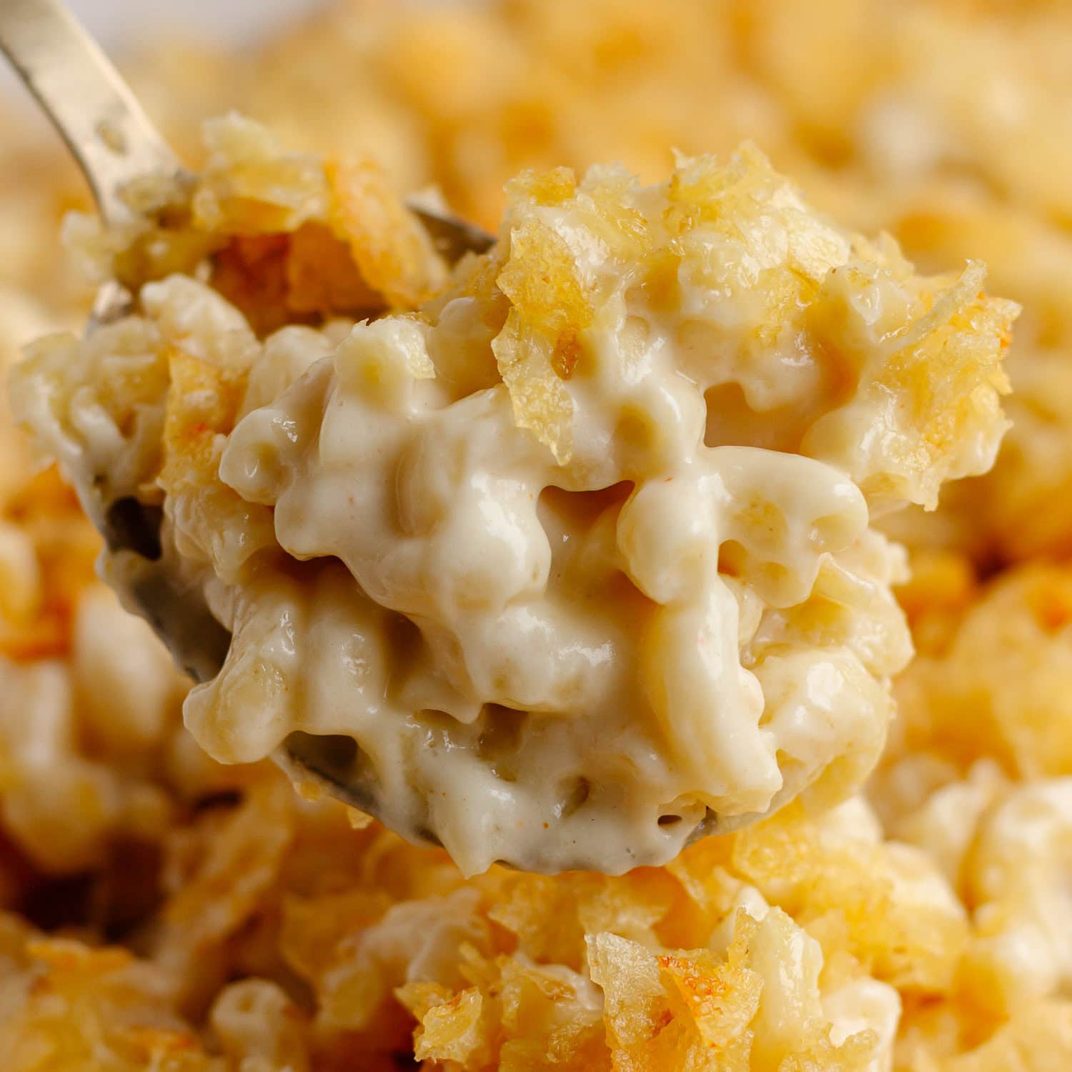Spoon of white cheddar cheese macaroni and cheese with chip topping.
