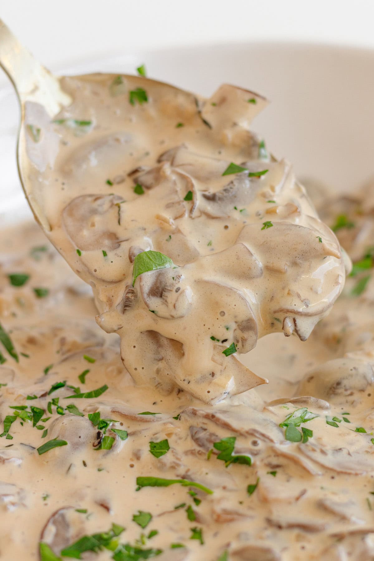 Serving spoon lifting creamy mushroom sauce.