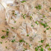 Spoon lifting up mushroom cream sauce.