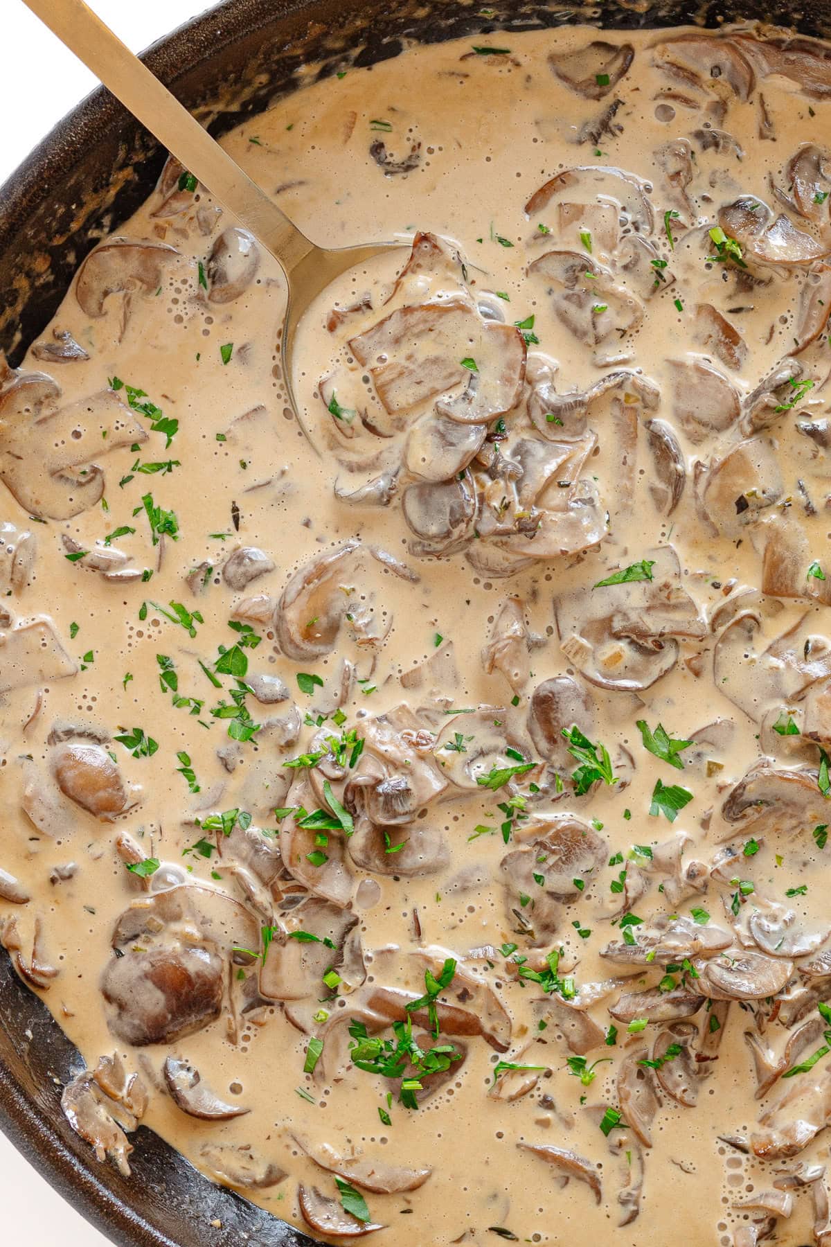 Creamy mushroom sauce in cast iron skillet.