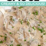 Pinterest graphic for mushroom sauce recipe.