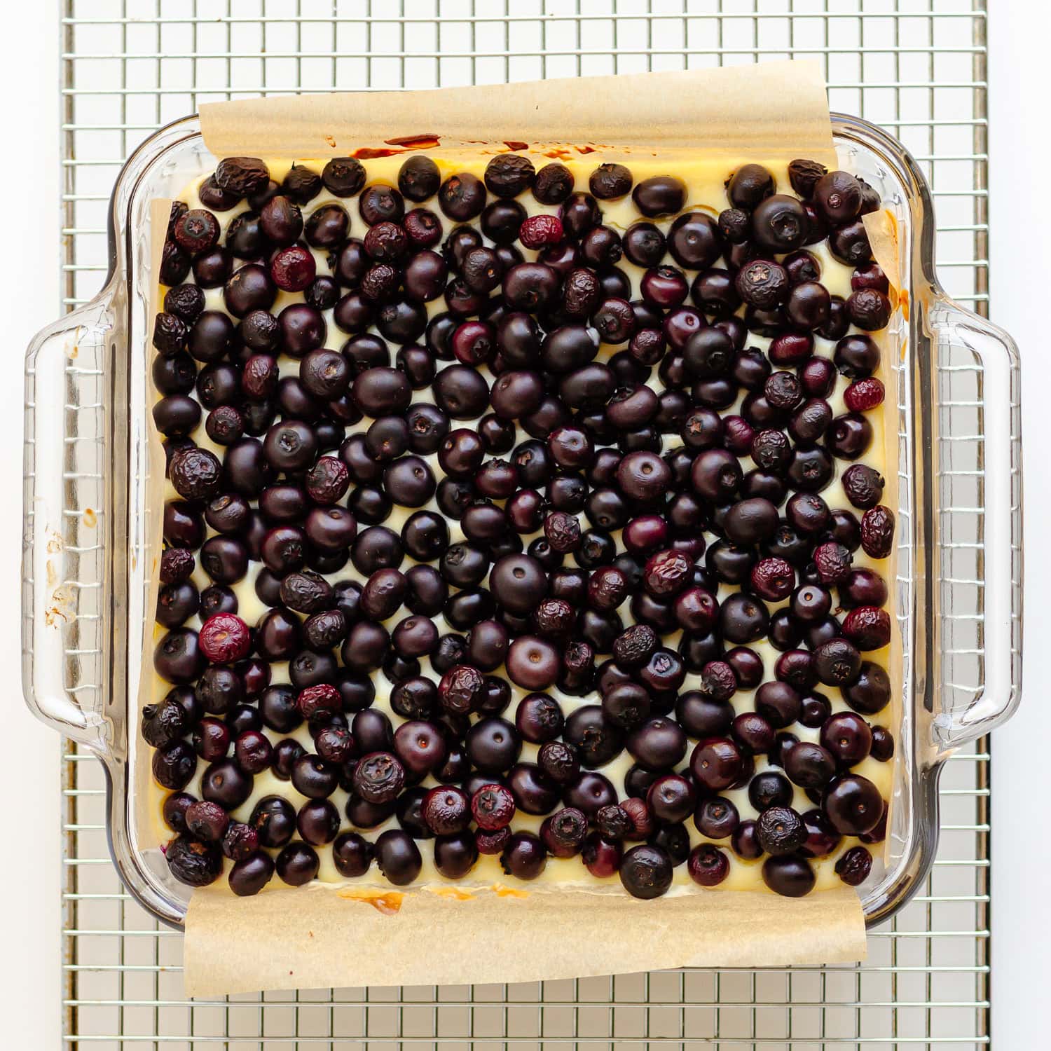 Square glass baking dish of baked blueberry cheesecake bars cooling on a wire rack.
