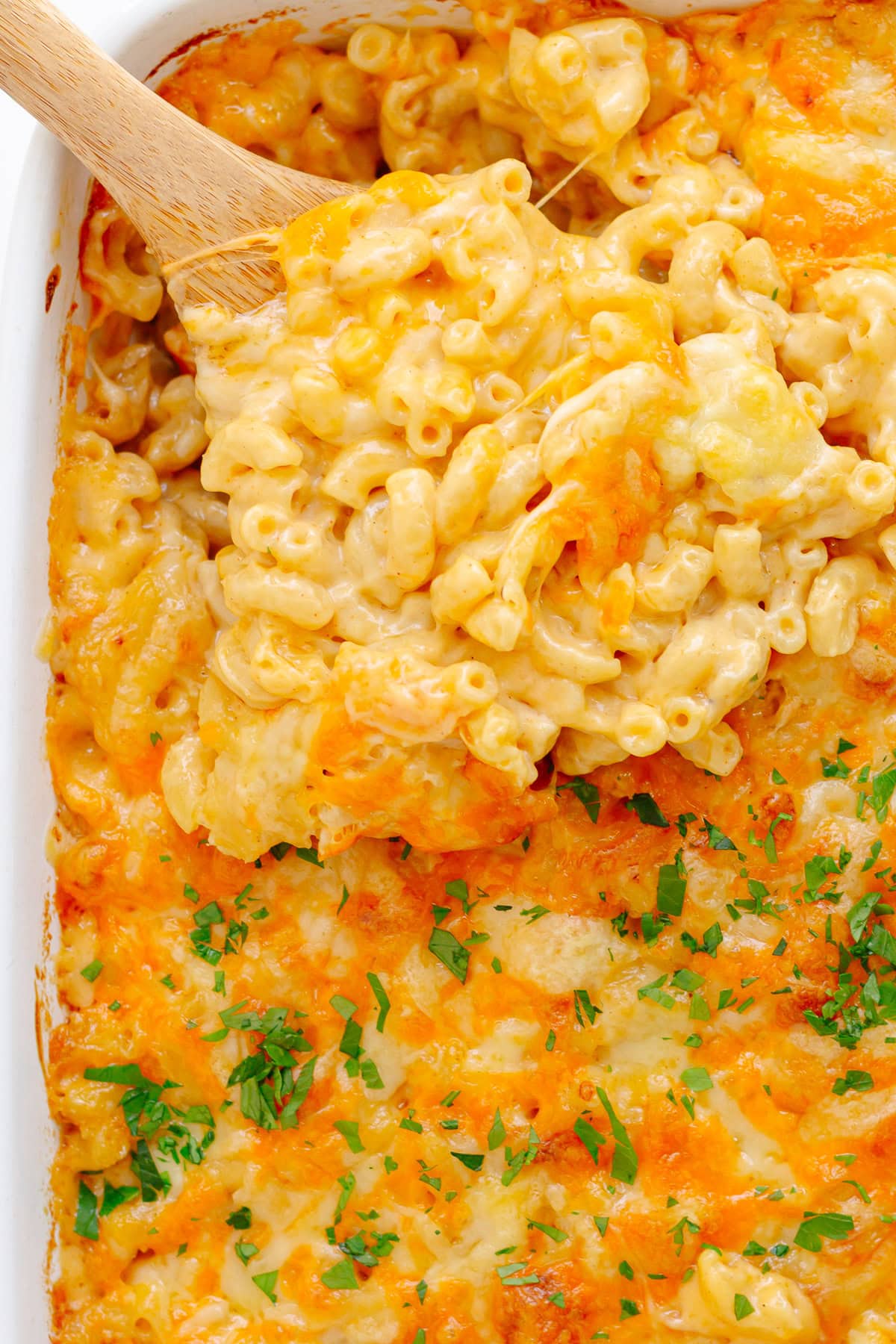 3 cheese macaroni and cheese in a casserole dish garnished with chopped parsley.