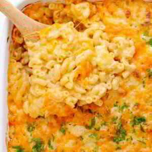Three cheese mac and cheese being scooped out of casserole dish with wooden spoon.