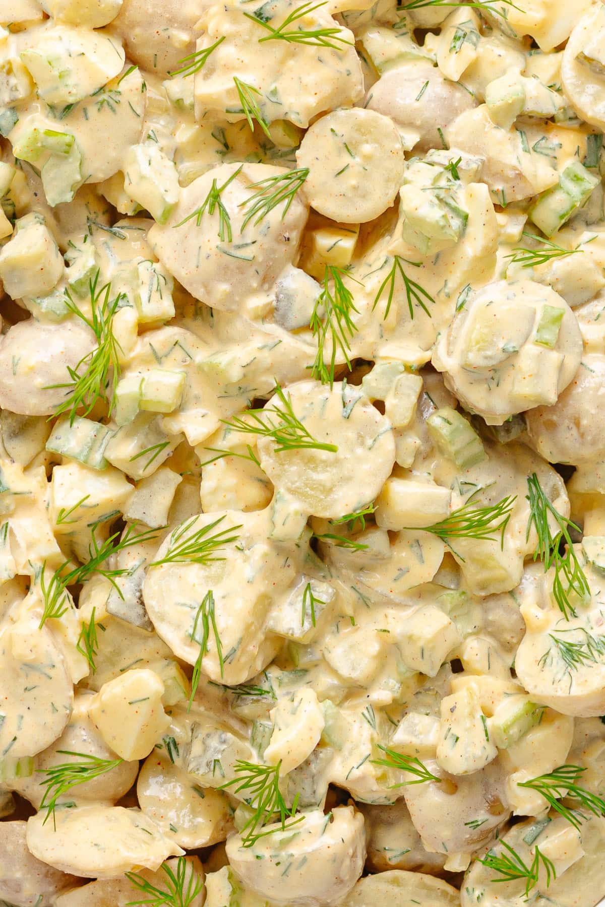 Closeup of creamy dill pickle potato salad.