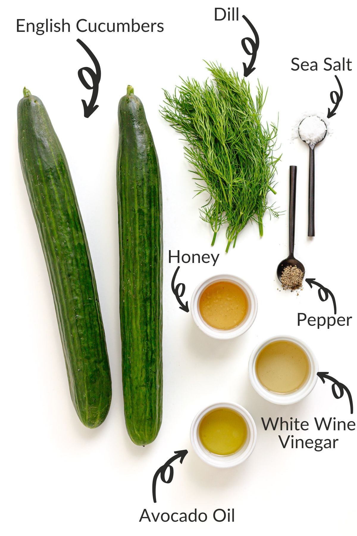 Labelled photo of ingredients to make a tangy cucumber dill salad.