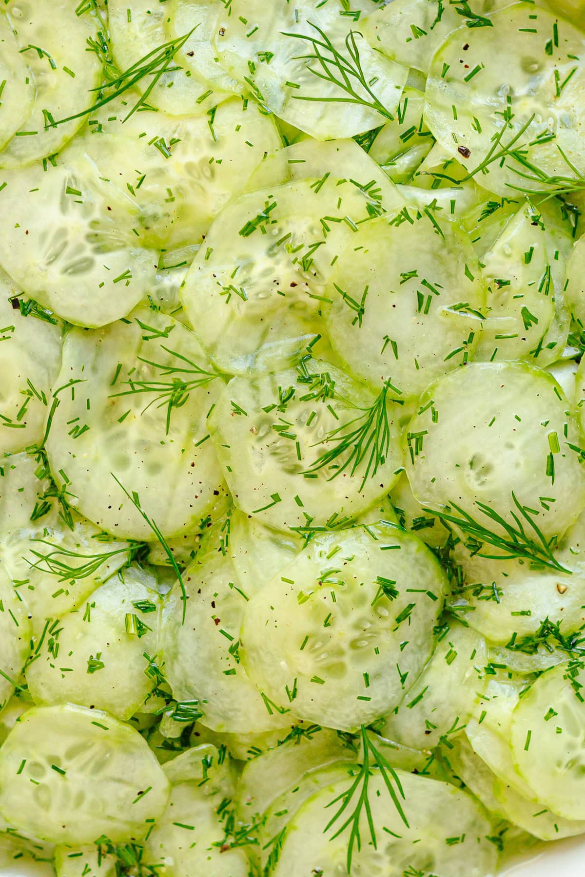 Closeup of German style cucumber dill salad with sweet and tangy vinaigrette.